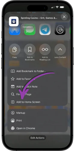 SpinDog review add to home screen