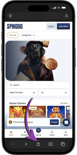 SpinDog review share button