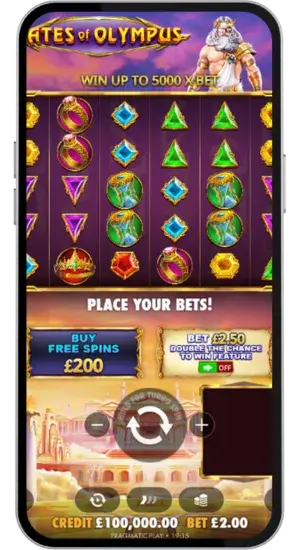 Main Game Interface with Bet Options